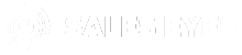 saleseyes logo